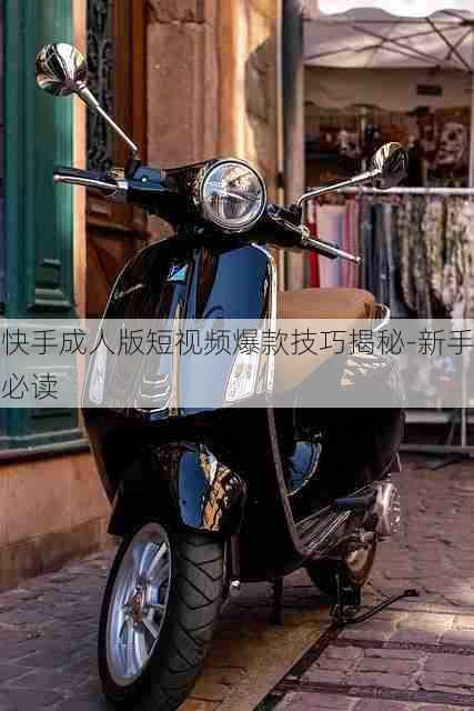 快手成人版短视频爆款技巧揭秘-新手必读