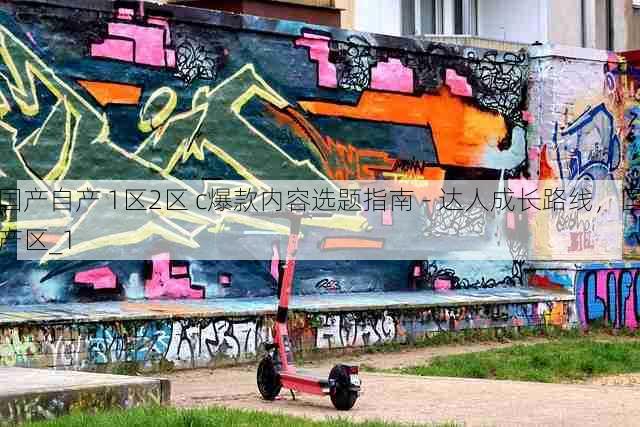 国产自产 1区2区 c爆款内容选题指南 - 达人成长路线，国产区_1