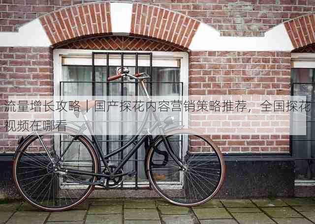 流量增长攻略|国产探花内容营销策略推荐,全国探花视频在哪看