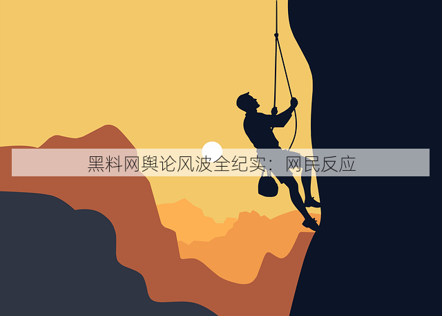 黑料网舆论风波全纪实:网民反应