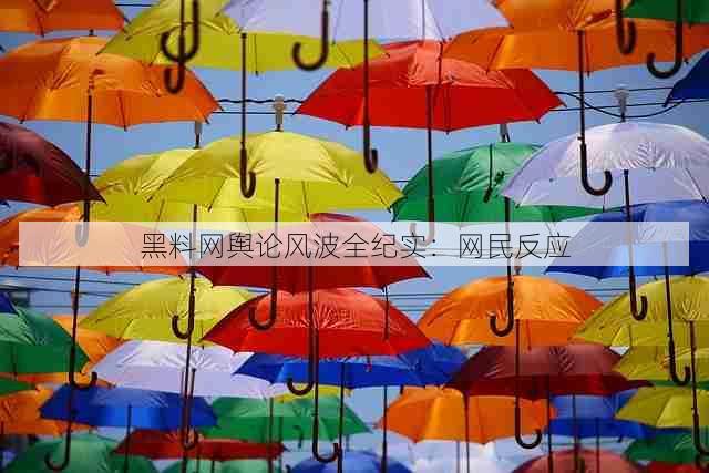 黑料网舆论风波全纪实:网民反应