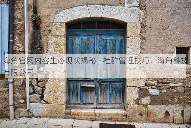 海角官网内容生态现状揭秘 - 社群管理技巧,海角科技有限公司
