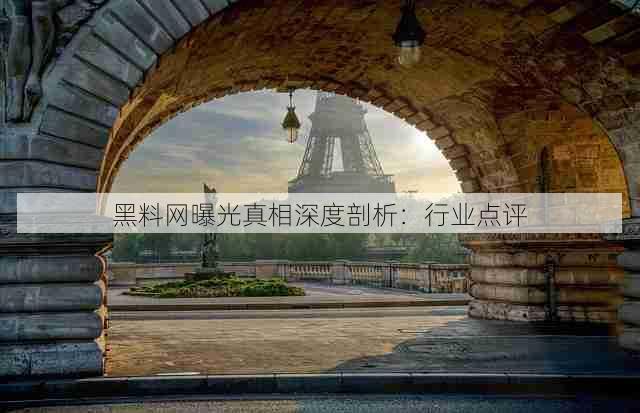 黑料网曝光真相深度剖析:行业点评