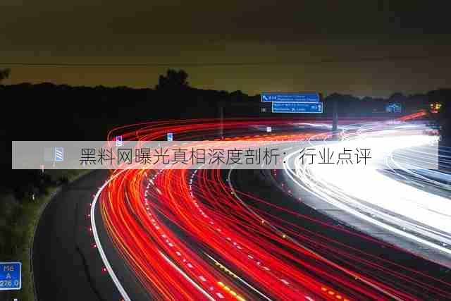 黑料网曝光真相深度剖析:行业点评