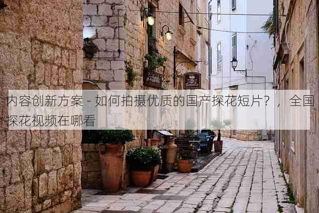内容创新方案 - 如何拍摄优质的国产探花短片?,全国探花视频在哪看