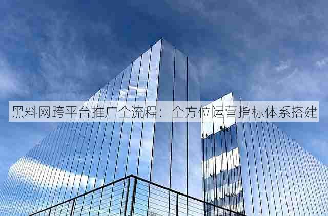 黑料网跨平台推广全流程:全方位运营指标体系搭建