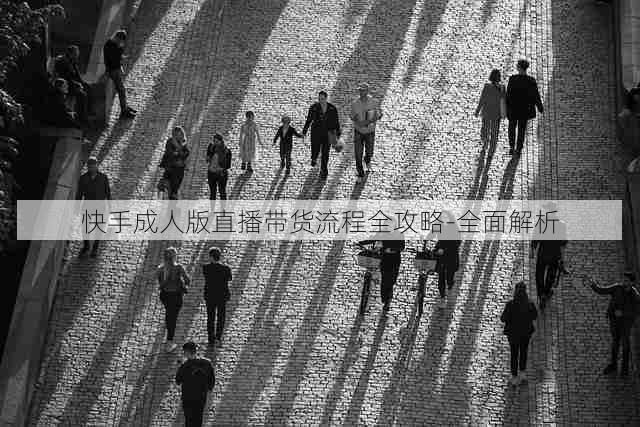 快手成人版直播带货流程全攻略-全面解析