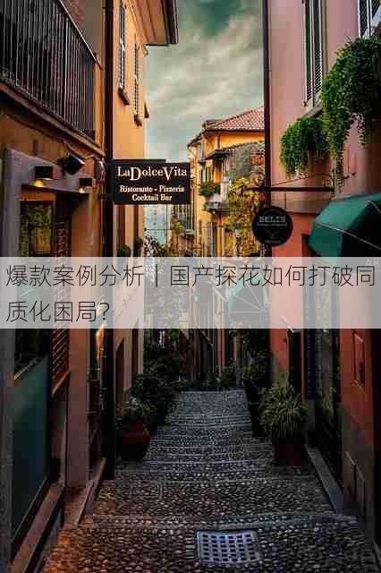 爆款案例分析|国产探花如何打破同质化困局?