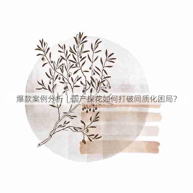 爆款案例分析|国产探花如何打破同质化困局?