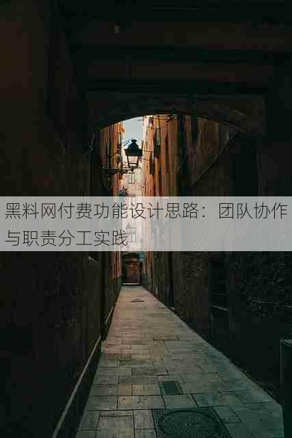 黑料网付费功能设计思路:团队协作与职责分工实践