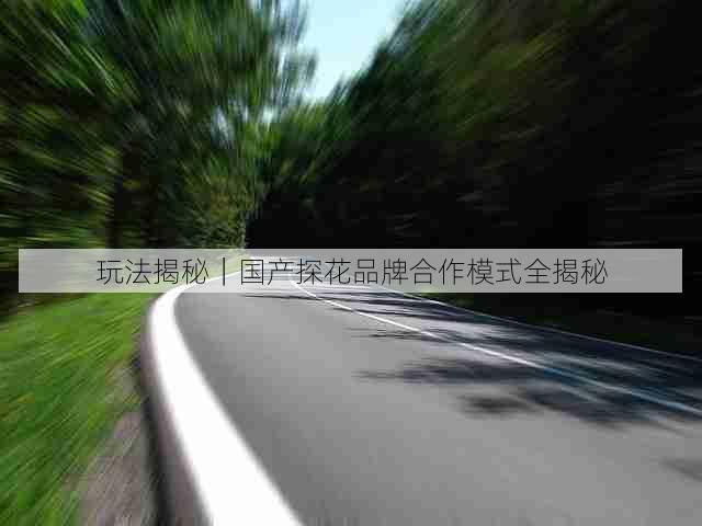 玩法揭秘|国产探花品牌合作模式全揭秘