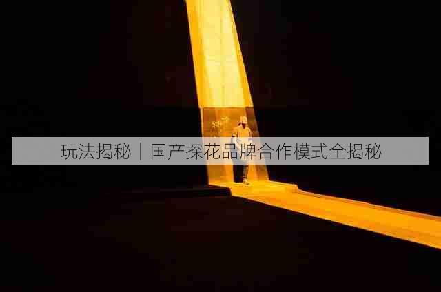 玩法揭秘|国产探花品牌合作模式全揭秘